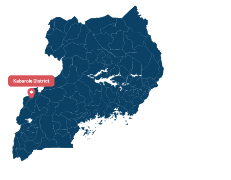 Ground-Level Diagnostics: Kabarole District